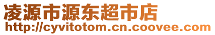 凌源市源東超市店