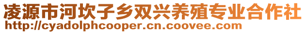 凌源市河坎子鄉(xiāng)雙興養(yǎng)殖專業(yè)合作社