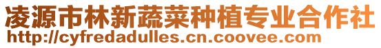 凌源市林新蔬菜種植專業(yè)合作社