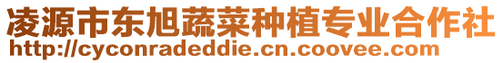 凌源市東旭蔬菜種植專業(yè)合作社