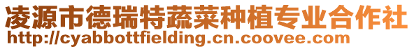 凌源市德瑞特蔬菜種植專業(yè)合作社