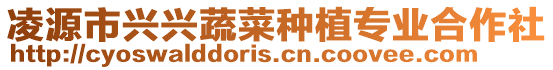 凌源市興興蔬菜種植專業合作社