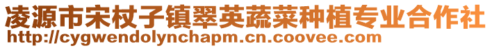 凌源市宋杖子鎮翠英蔬菜種植專業合作社