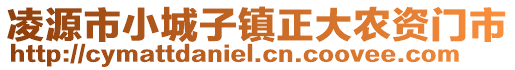 凌源市小城子鎮(zhèn)正大農(nóng)資門市