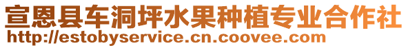 宣恩縣車洞坪水果種植專業(yè)合作社