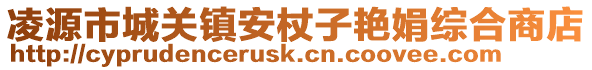 凌源市城關(guān)鎮(zhèn)安杖子艷娟綜合商店