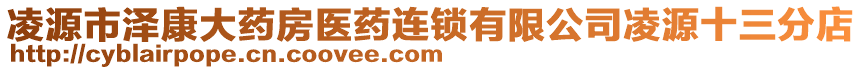 凌源市澤康大藥房醫(yī)藥連鎖有限公司凌源十三分店