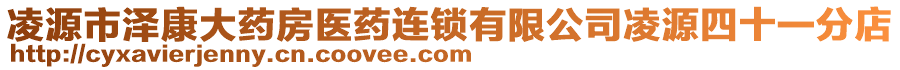 凌源市澤康大藥房醫(yī)藥連鎖有限公司凌源四十一分店