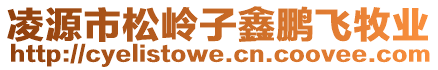 凌源市松嶺子鑫鵬飛牧業(yè)