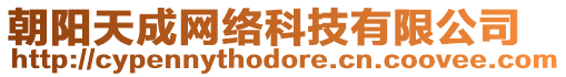 朝陽(yáng)天成網(wǎng)絡(luò)科技有限公司