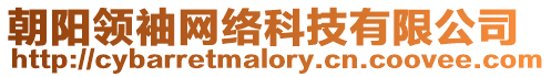 朝陽領(lǐng)袖網(wǎng)絡(luò)科技有限公司