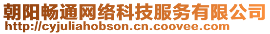 朝陽暢通網(wǎng)絡(luò)科技服務(wù)有限公司