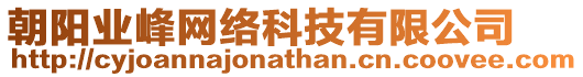 朝陽業(yè)峰網(wǎng)絡(luò)科技有限公司