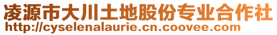 凌源市大川土地股份專業(yè)合作社