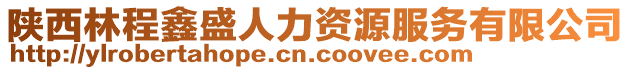 陜西林程鑫盛人力資源服務有限公司