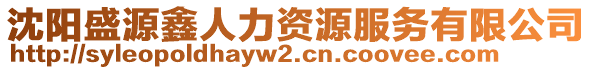 沈陽盛源鑫人力資源服務有限公司