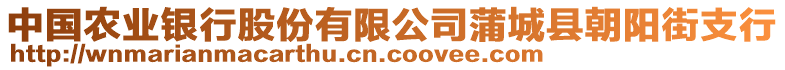 中國農(nóng)業(yè)銀行股份有限公司蒲城縣朝陽街支行