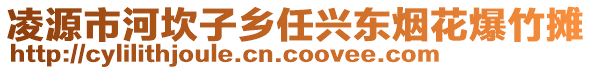 凌源市河坎子鄉(xiāng)任興東煙花爆竹攤