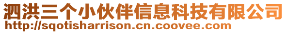 泗洪三個小伙伴信息科技有限公司