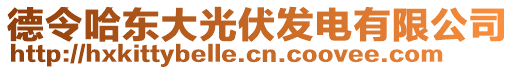 德令哈東大光伏發(fā)電有限公司