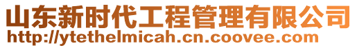 山東新時代工程管理有限公司