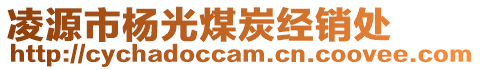 凌源市楊光煤炭經銷處