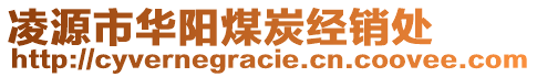 凌源市華陽煤炭經(jīng)銷處