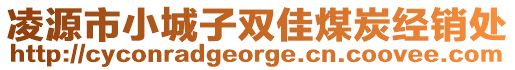 凌源市小城子雙佳煤炭經(jīng)銷處