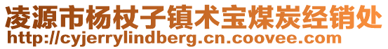 凌源市楊杖子鎮(zhèn)術(shù)寶煤炭經(jīng)銷處