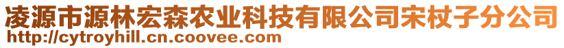 凌源市源林宏森農(nóng)業(yè)科技有限公司宋杖子分公司