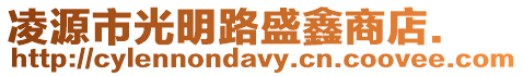 凌源市光明路盛鑫商店.