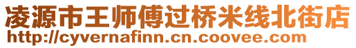 凌源市王師傅過橋米線北街店