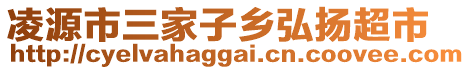 凌源市三家子鄉(xiāng)弘揚(yáng)超市