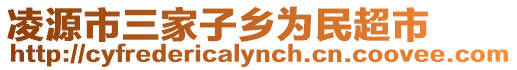 凌源市三家子鄉(xiāng)為民超市