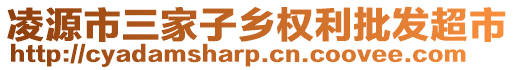 凌源市三家子鄉(xiāng)權(quán)利批發(fā)超市