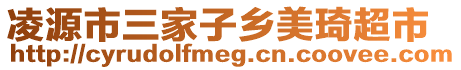 凌源市三家子鄉(xiāng)美琦超市