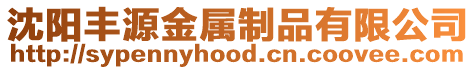 沈陽豐源金屬制品有限公司