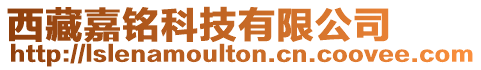西藏嘉銘科技有限公司