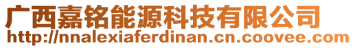 廣西嘉銘能源科技有限公司