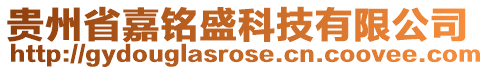 貴州省嘉銘盛科技有限公司