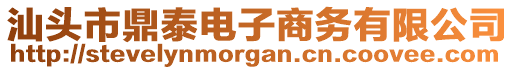 汕頭市鼎泰電子商務(wù)有限公司