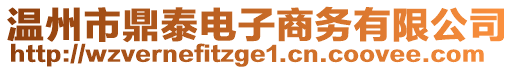 溫州市鼎泰電子商務(wù)有限公司