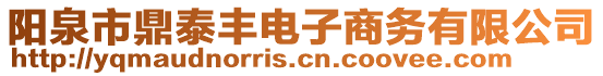 陽泉市鼎泰豐電子商務有限公司