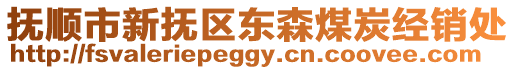 撫順市新?lián)釁^(qū)東森煤炭經銷處