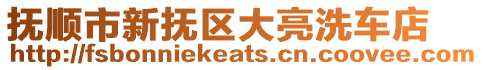 撫順市新?lián)釁^(qū)大亮洗車店