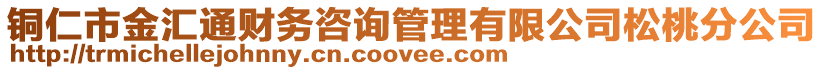 銅仁市金匯通財(cái)務(wù)咨詢管理有限公司松桃分公司