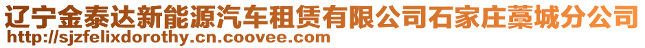 遼寧金泰達新能源汽車租賃有限公司石家莊藁城分公司