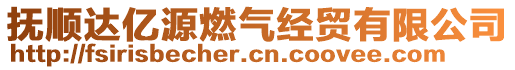 撫順達(dá)億源燃?xì)饨?jīng)貿(mào)有限公司