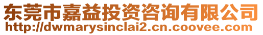 東莞市嘉益投資咨詢有限公司