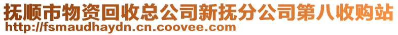 撫順市物資回收總公司新?lián)岱止镜诎耸召?gòu)站